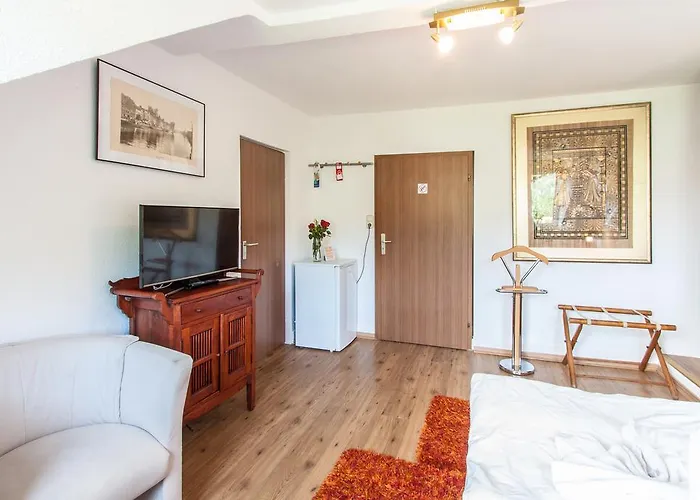 琥珀别墅酒店 2* 巴特基辛根